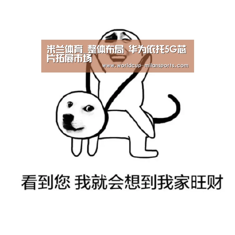米兰体育_整体布局 华为依托5G芯片拓展市场(图2) APP下载