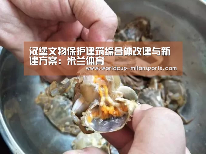 汉堡文物保护建筑综合体改建与新建方案：米兰体育