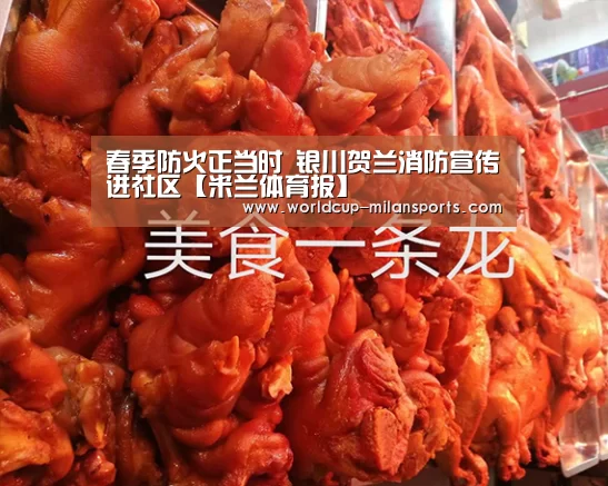 春季防火正当时 银川贺兰消防宣传进社区【米兰体育报】