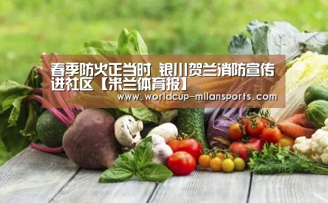 春季防火正当时 银川贺兰消防宣传进社区【米兰体育报】(图2) 米兰体育