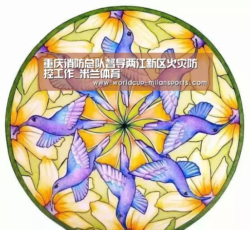 重庆消防总队督导两江新区火灾防控工作_米兰体育(图3) 米兰体育