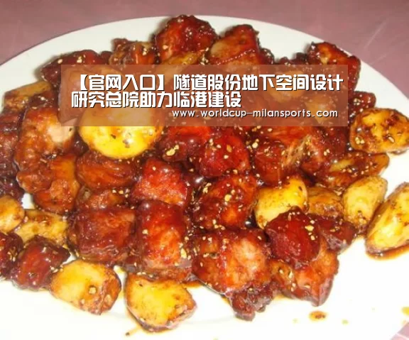 【官网入口】隧道股份地下空间设计研究总院助力临港建设(图3) APP下载